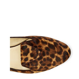COLOR|Chocolate Leopard